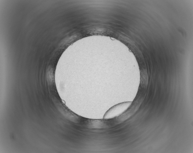 X0000110910287200907301548