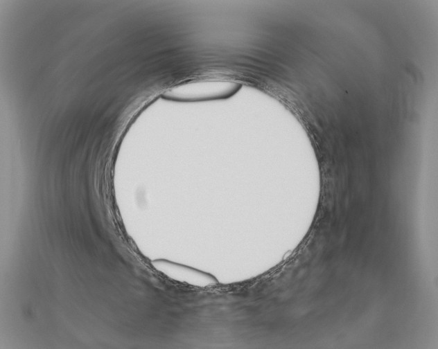 X0000110910289200907301547