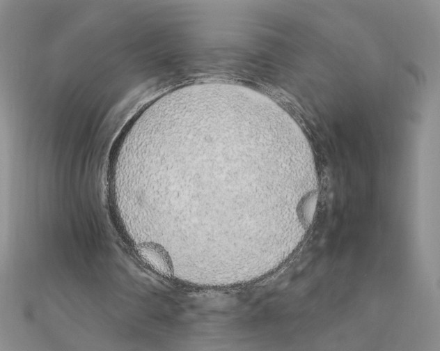 X0000110910290200907301547