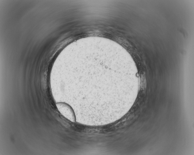 X0000110910291200907301547