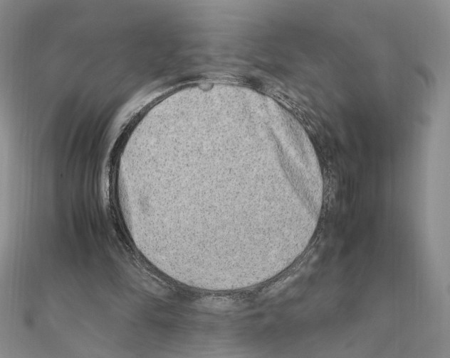 X0000110910294200907301547