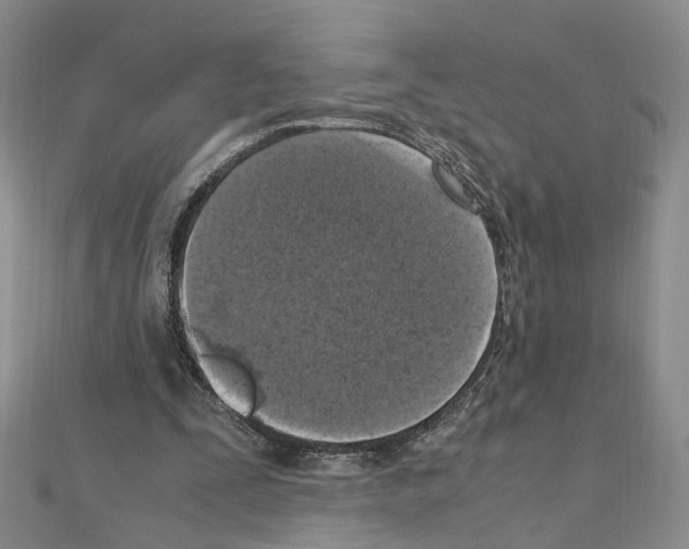 X0000110910295200907301547