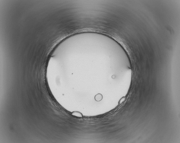 X0000110910297200907301547