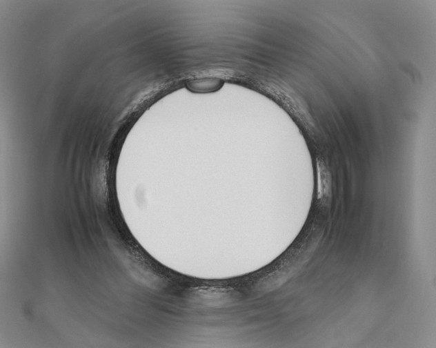 X0000110910300200907301547