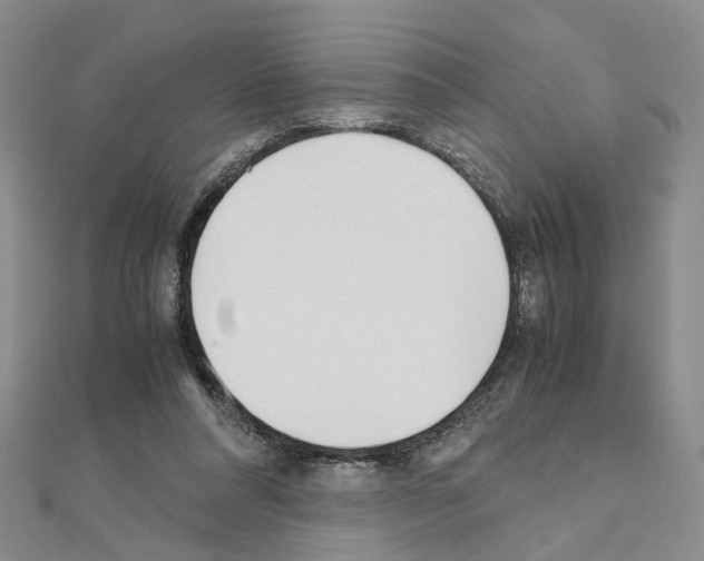 X0000110910304200907301547