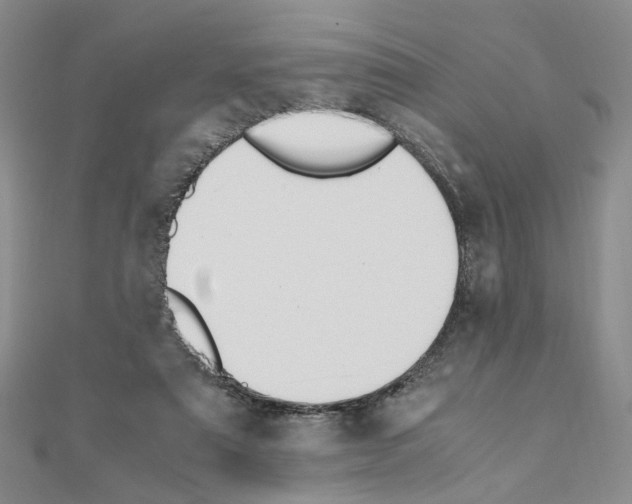 X0000110910307200907301547