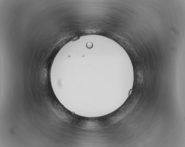 X0000110910308200907301547