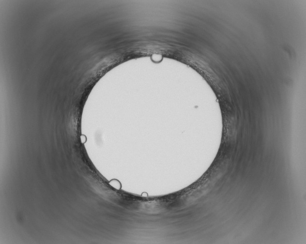 X0000110910309200907301547