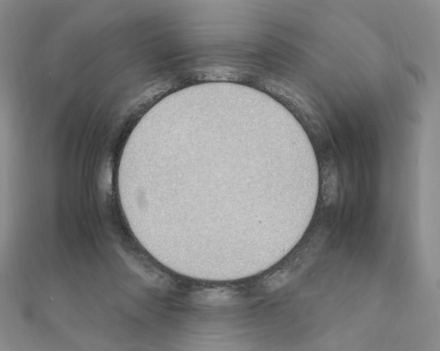 X0000110910310200907301547