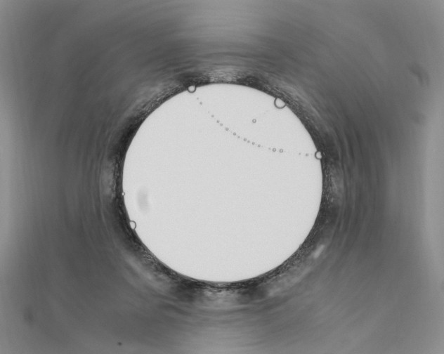 X0000110910311200907301547