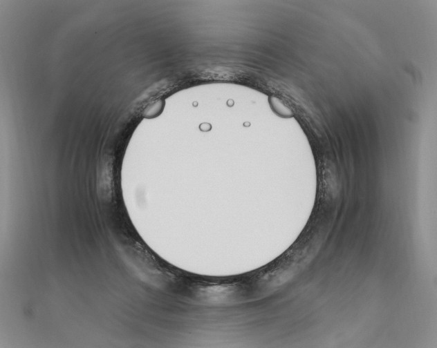 X0000110910312200907301547