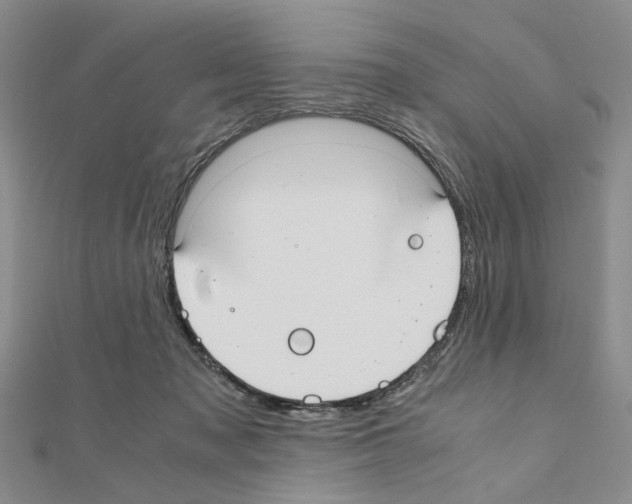 X0000110910317200907301547