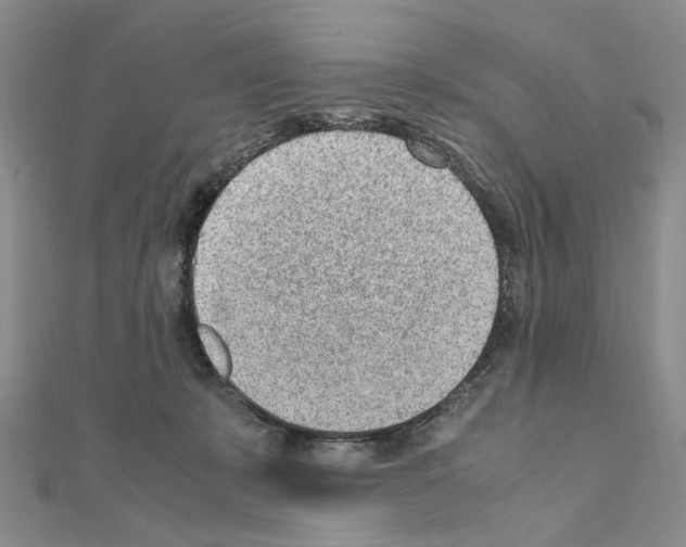 X0000110910319200907301547