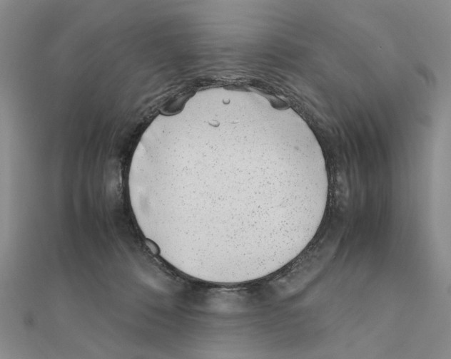 X0000110910320200907301547