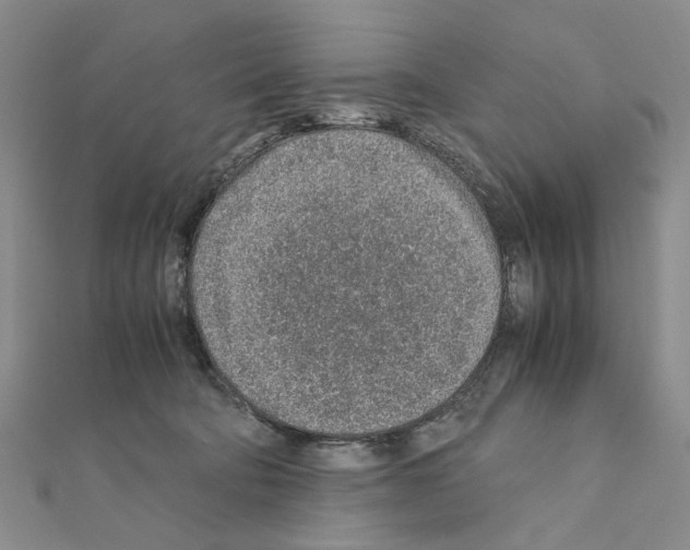 X0000110910322200907301547