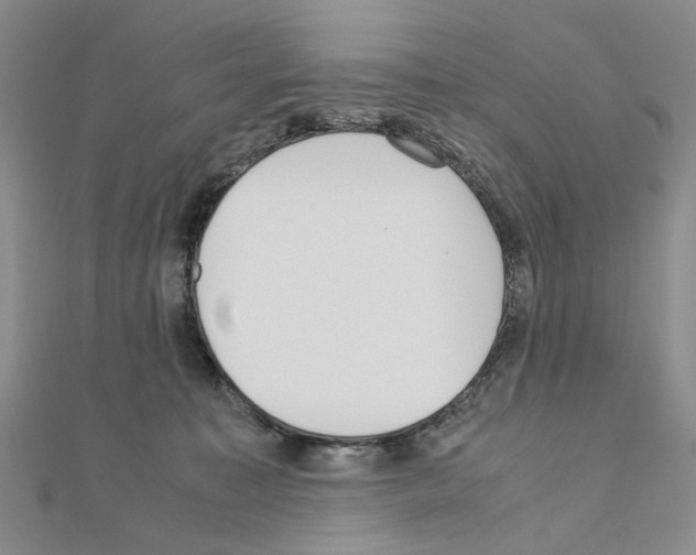 X0000110910323200907301547