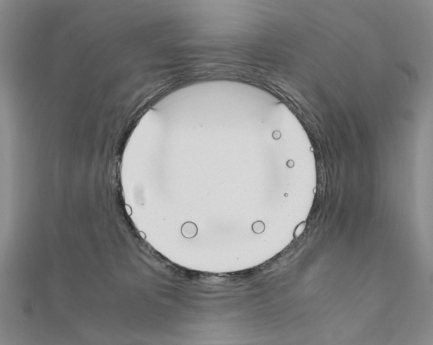 X0000110910325200907301547