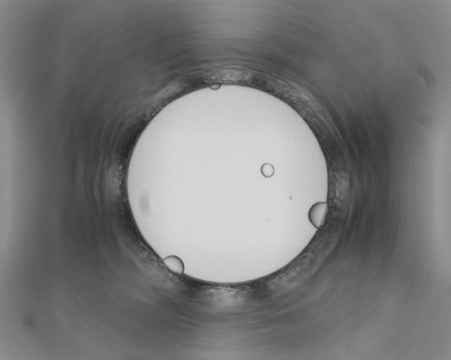 X0000110910326200907301547