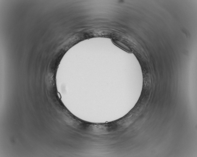 X0000110910327200907301547