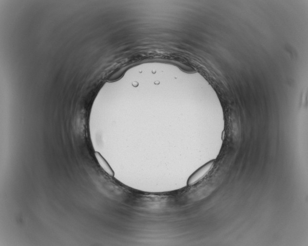 X0000110910328200907301547