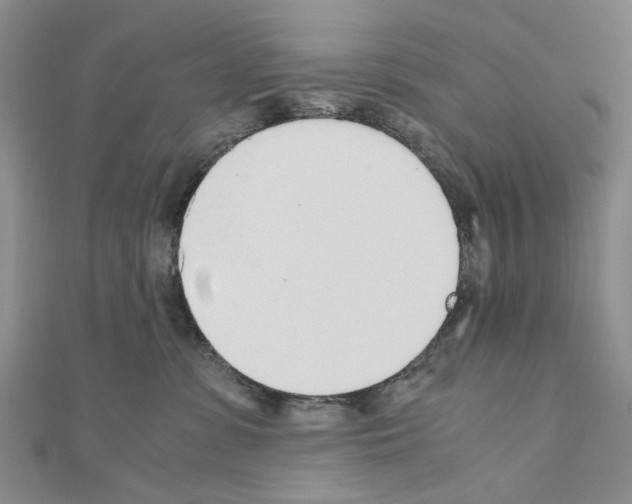 X0000110910331200907301547