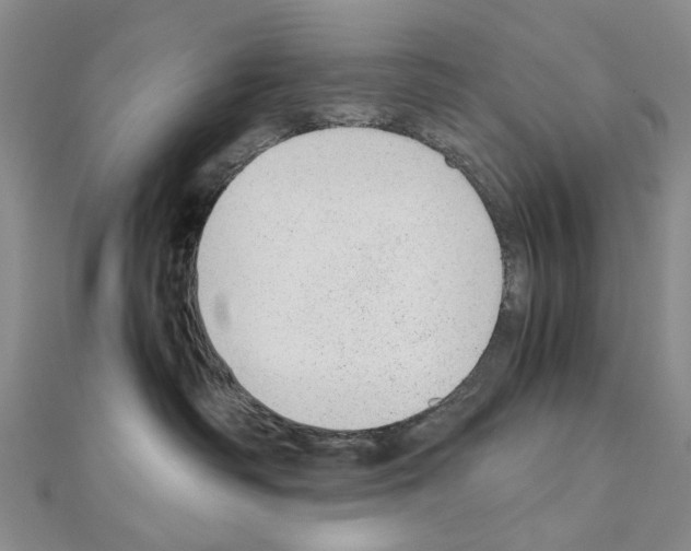 X0000110910334200907301547