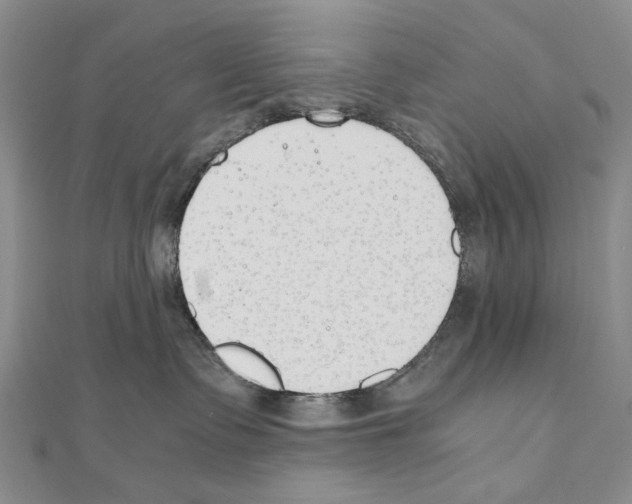 X0000110910335200907301547