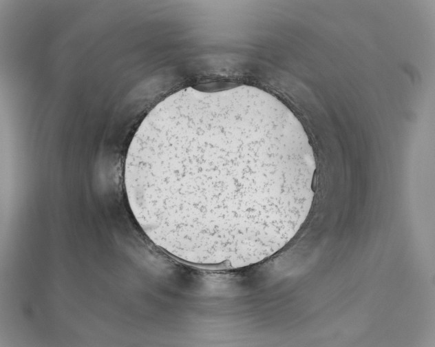 X0000110910336200907301547