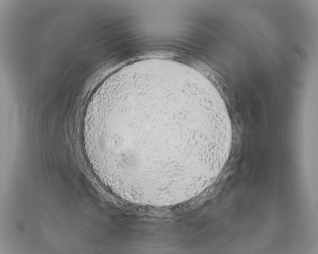 X0000110910337200907301546