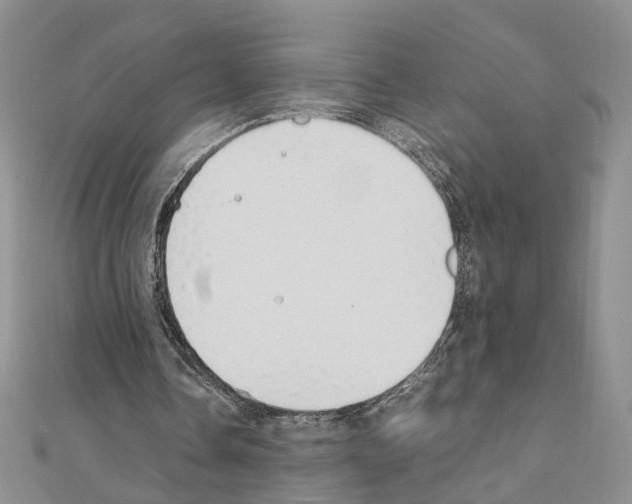 X0000110910338200907301546