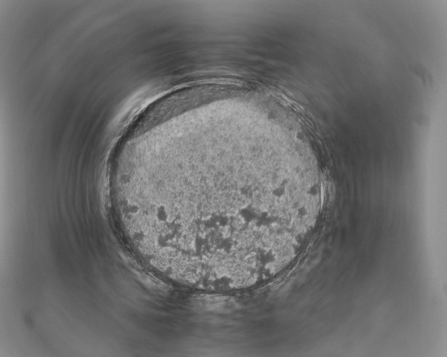 X0000110910339200907301546