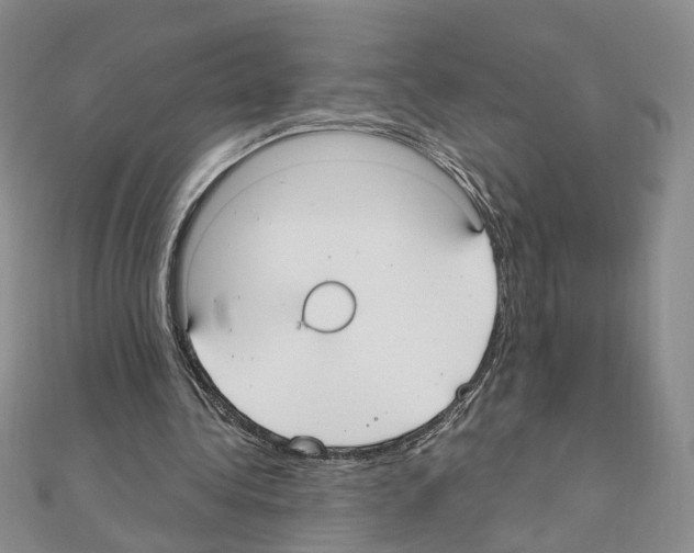 X0000110910340200907301546