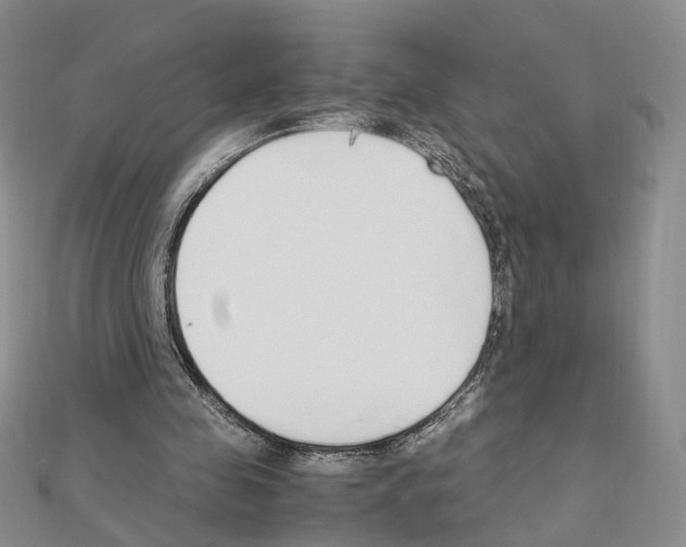 X0000110910341200907301546