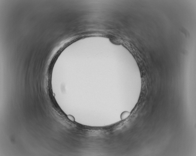 X0000110910342200907301546