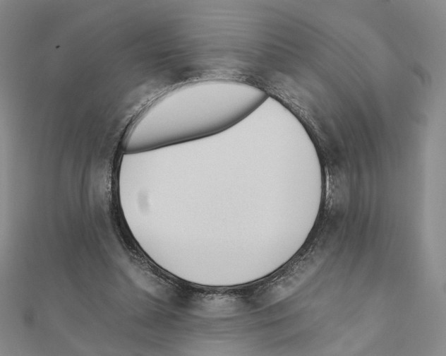 X0000110910348200907301546