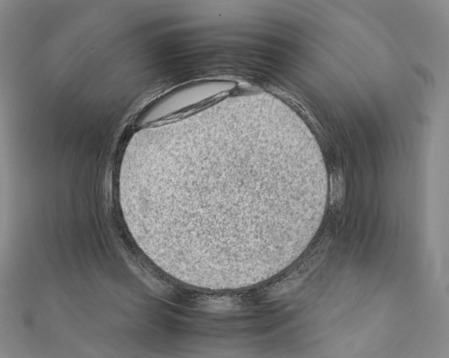 X0000110910349200907301546