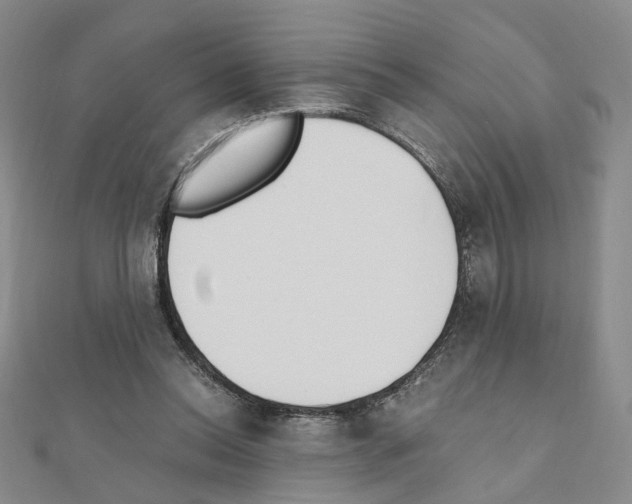 X0000110910350200907301546