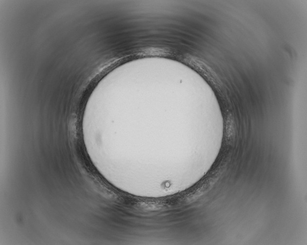 X0000110910351200907301546