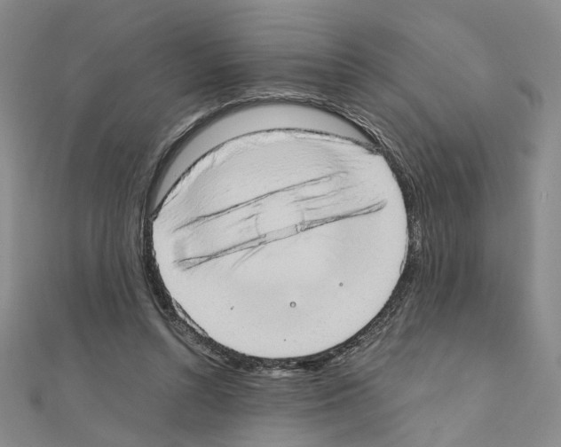 X0000110910352200907301546