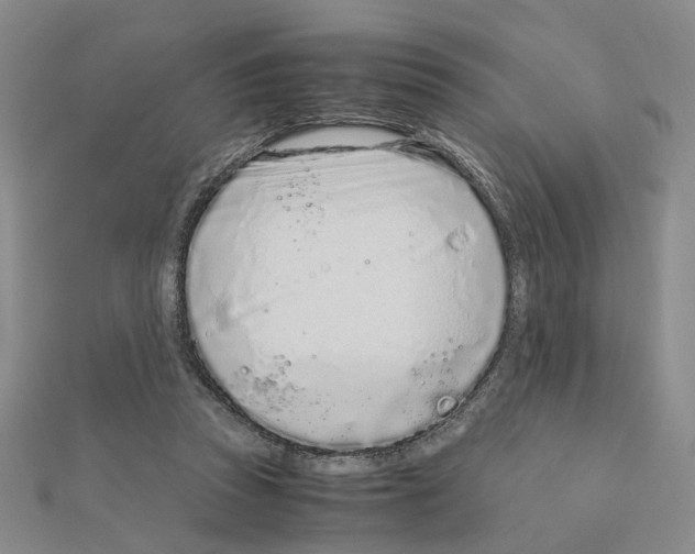 X0000110910353200907301546