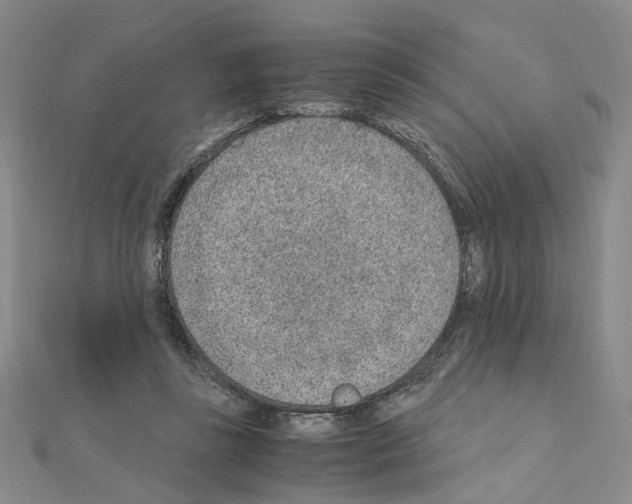 X0000110910355200907301546