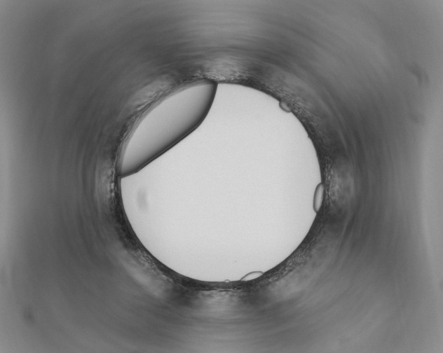 X0000110910356200907301546