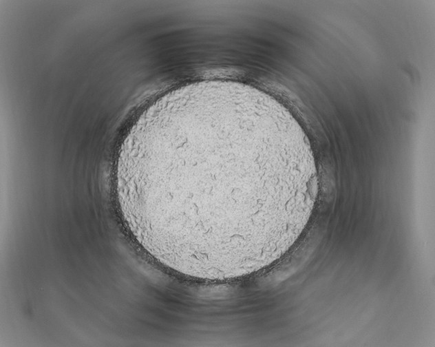 X0000110910357200907301546