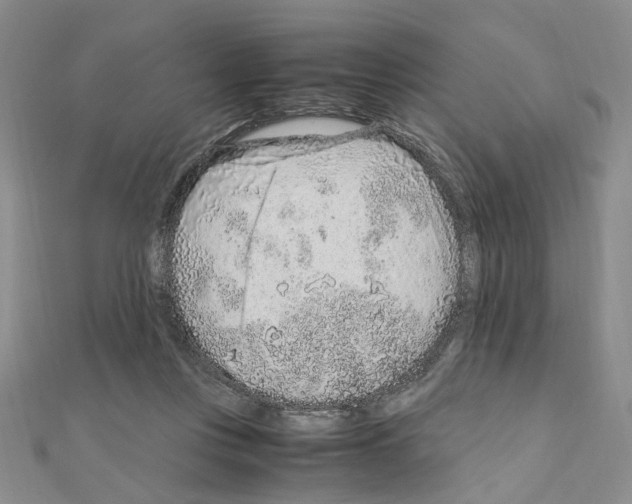 X0000110910359200907301546