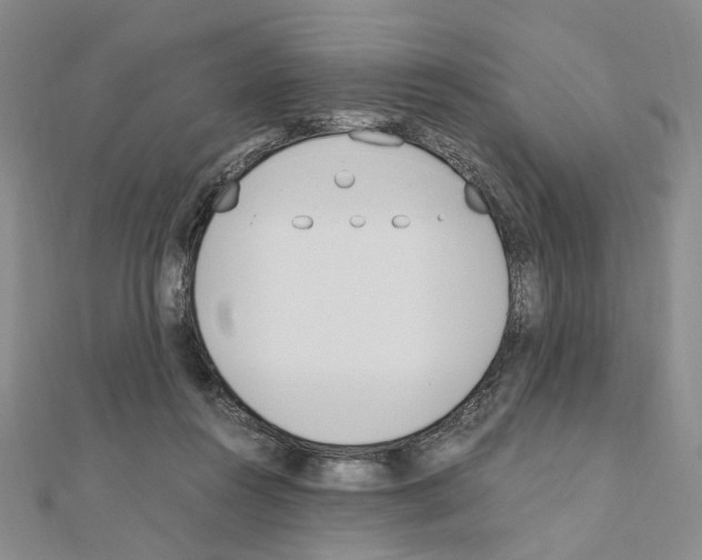 X0000110910360200907301546