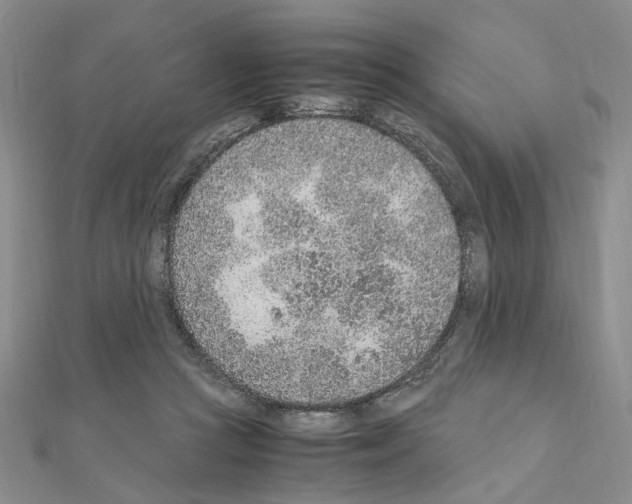 X0000110910361200907301546