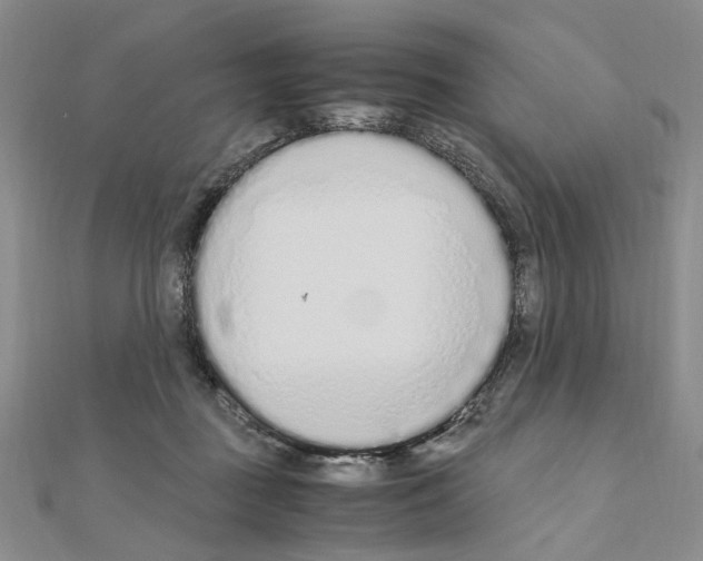 X0000110910363200907301546