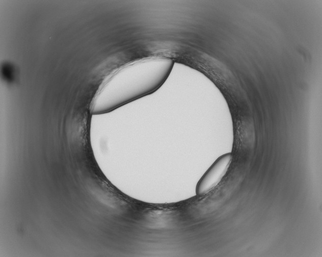 X0000110910364200907301546