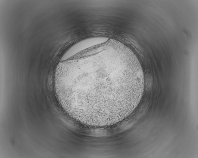 X0000110910365200907301546