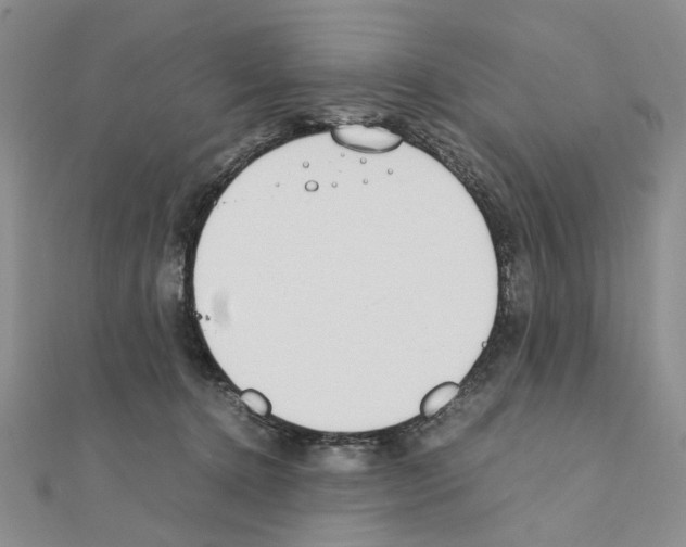 X0000110910368200907301547